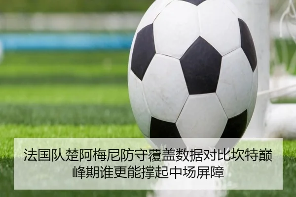 法国队楚阿梅尼防守覆盖数据对比坎特巅峰期谁更能撑起中场屏障