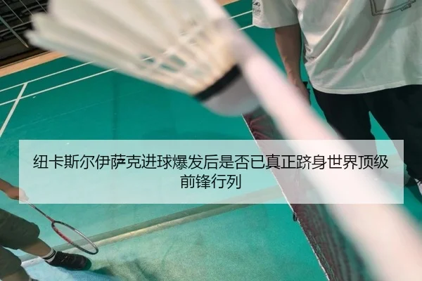 纽卡斯尔伊萨克进球爆发后是否已真正跻身世界顶级前锋行列